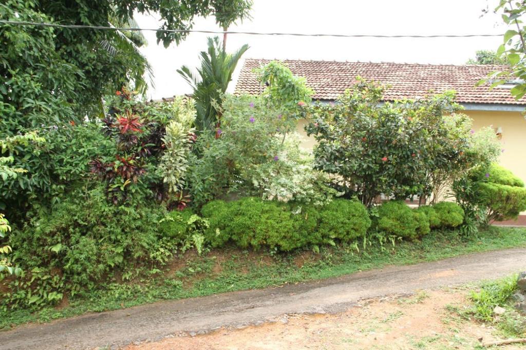 Hill Residence Hikkaduwa Chambre photo